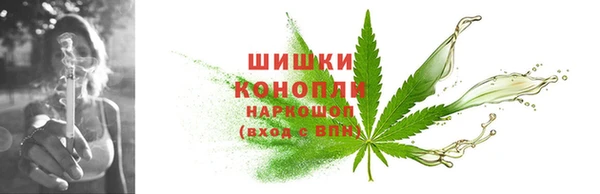 прущие крисы Карпинск