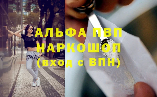прущие крисы Карпинск