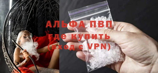 прущие крисы Карпинск